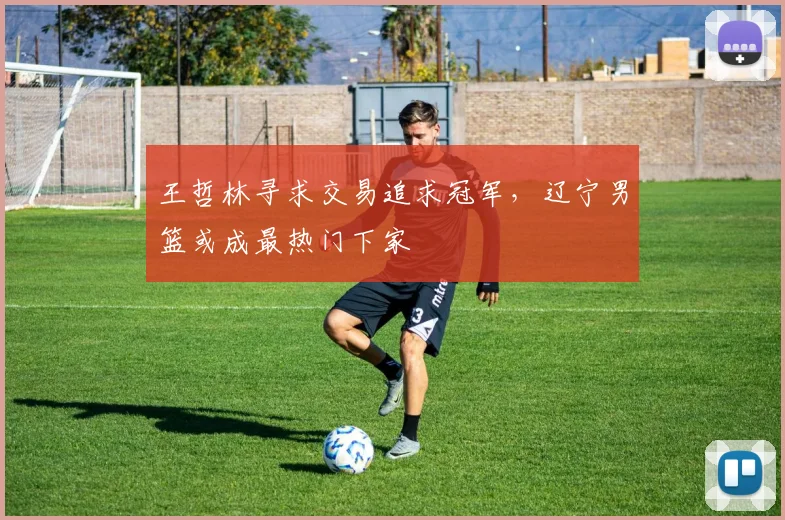 王哲林寻求交易追求冠军，辽宁男篮或成最热门下家
