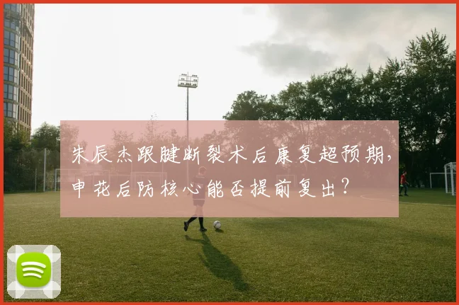 朱辰杰跟腱断裂术后康复超预期，申花后防核心能否提前复出？